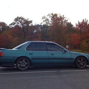 38083284012_original.jpg