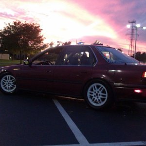 IMAG0305.jpg