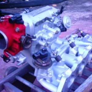 IMAG0480.jpg