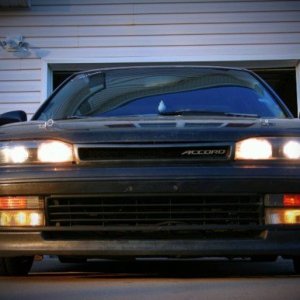 m219869501.jpg