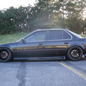 SDC10370.jpg
