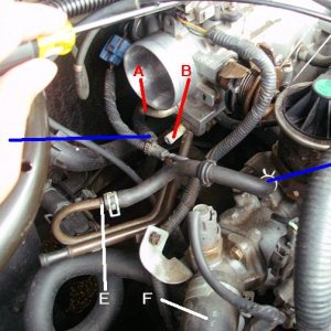 3435throttle2.jpg