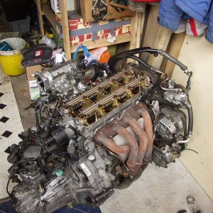 p4078983xb7.jpg