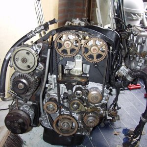 p4079004ai2.jpg