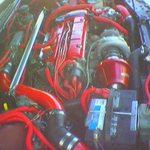 826590_23_full.jpg