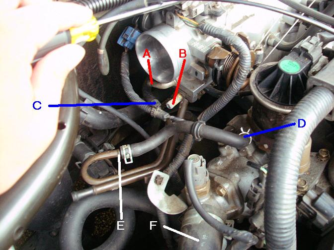 3435throttle2.jpg