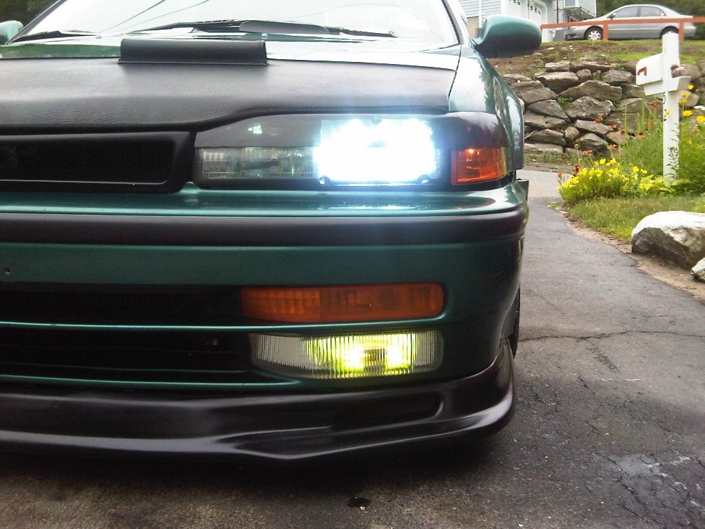 38083280017_original.jpg