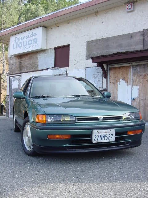 DSC03538.jpg