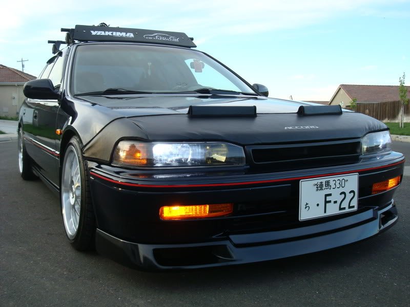 DSC08079.jpg