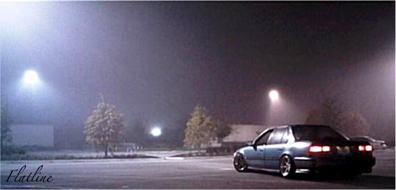 Foggie.jpg