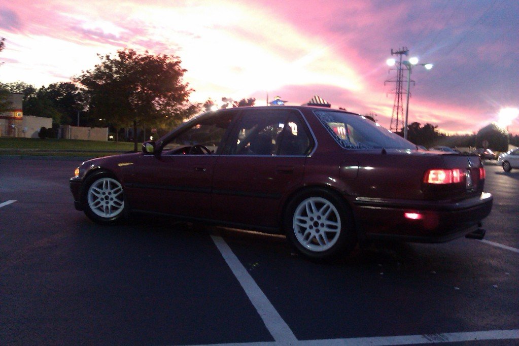 IMAG0305.jpg
