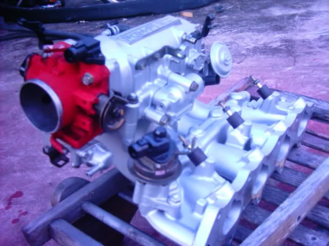 IMAG0480.jpg