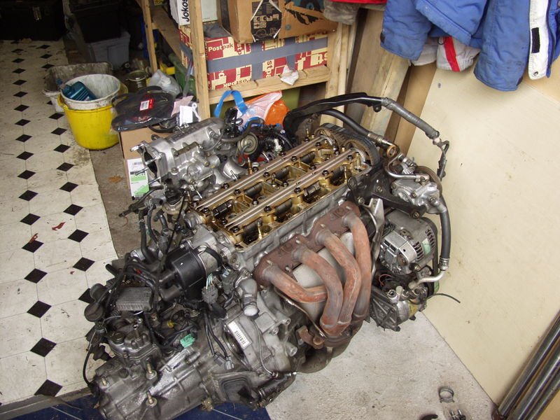p4078983xb7.jpg