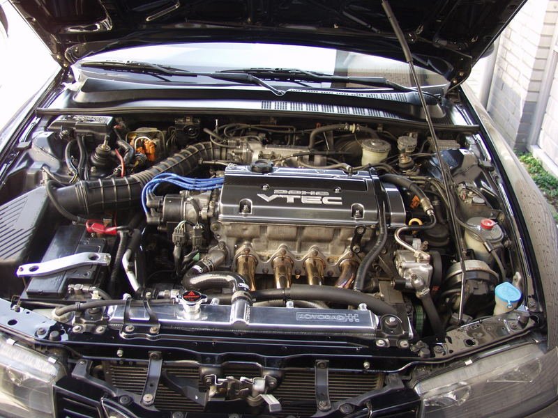 p4159162or0.jpg
